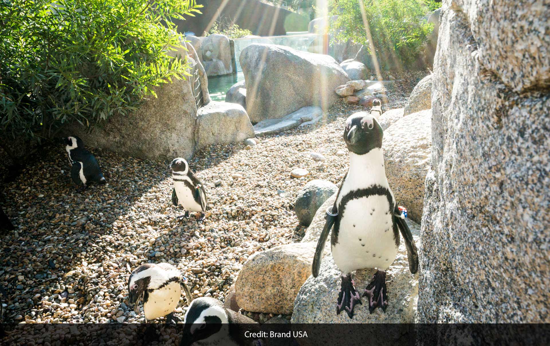 VIP Zoo Experience Black Tie Travel