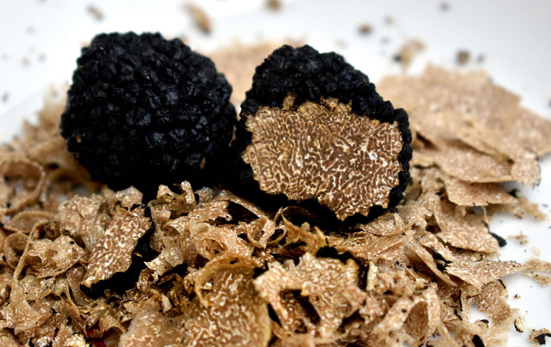 French Truffle Hunt Black Tie Travel